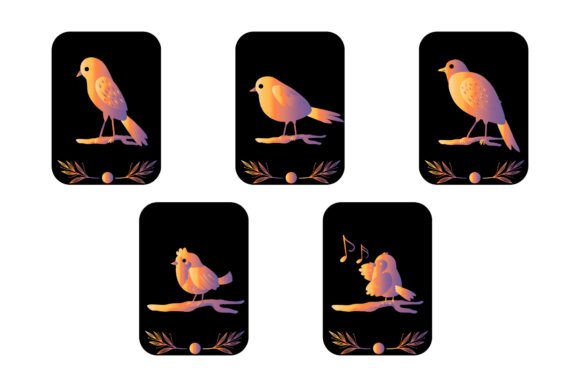 Bird Display Embroidery Review